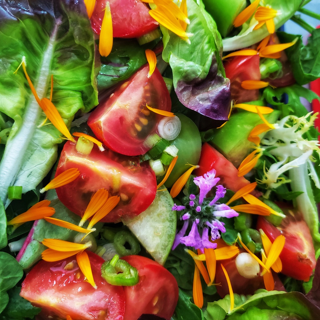 Garden Center Edible Flower Tomato Salad
