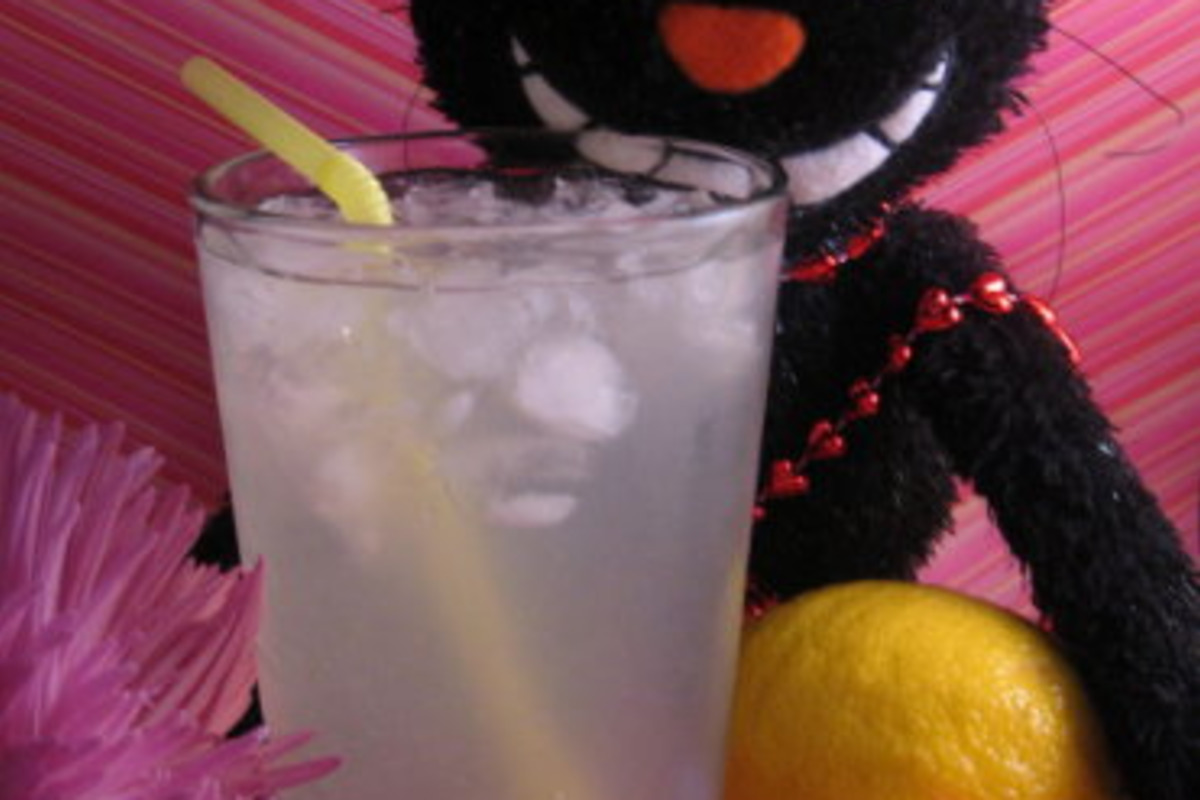 Ginger-Lemon Effervescent Spritzer