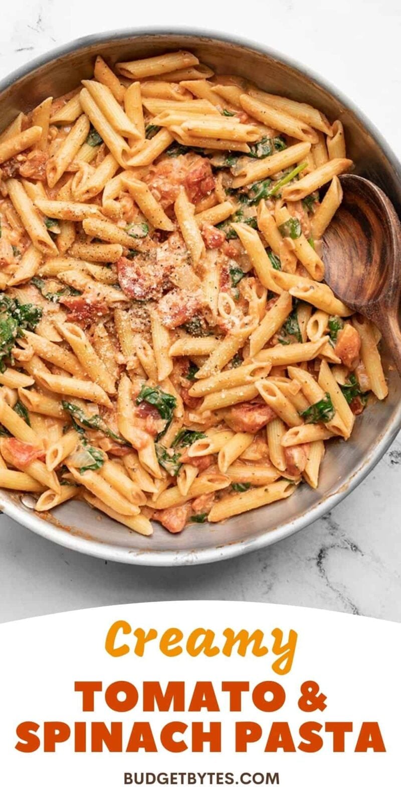 Budget-Friendly 15-Minute Creamy Tomato Pasta