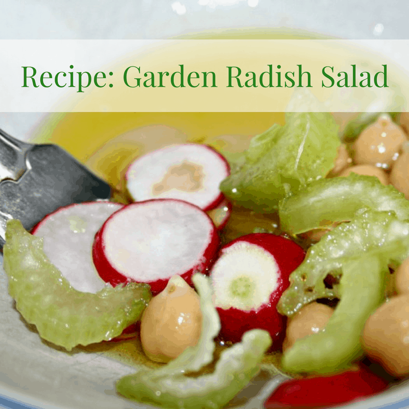 Perennial Herb & Radish Garden Salad with Citrus Vinaigrette