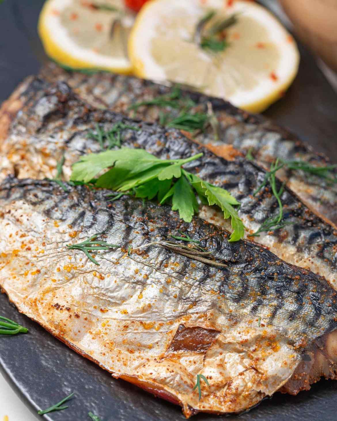 158-Meter Mackerel Fillets