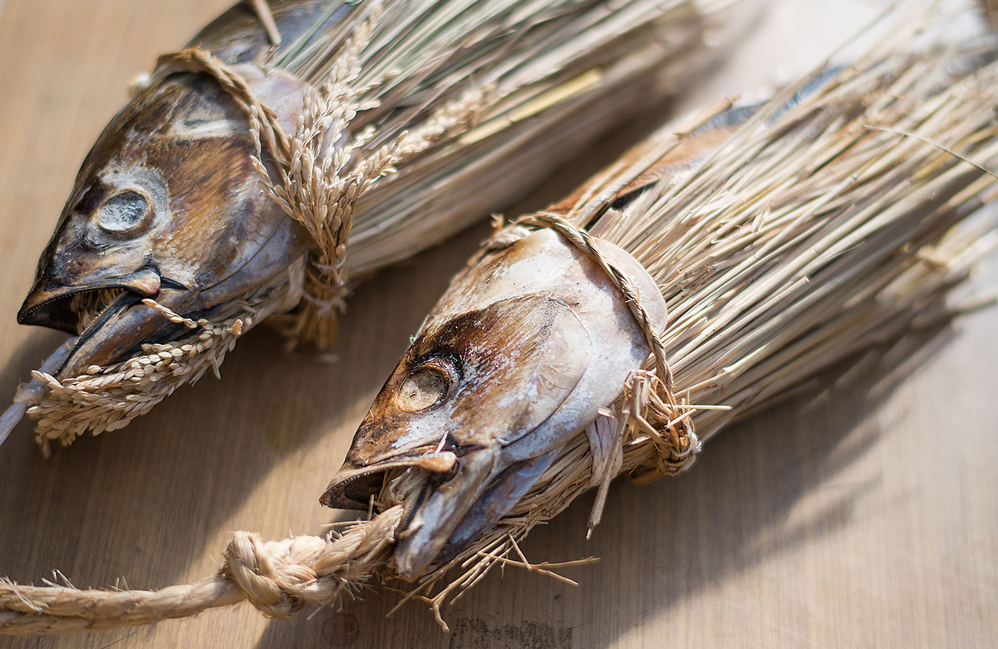 Authentic Shio Katsuo (Salted Bonito Rice Bowl)