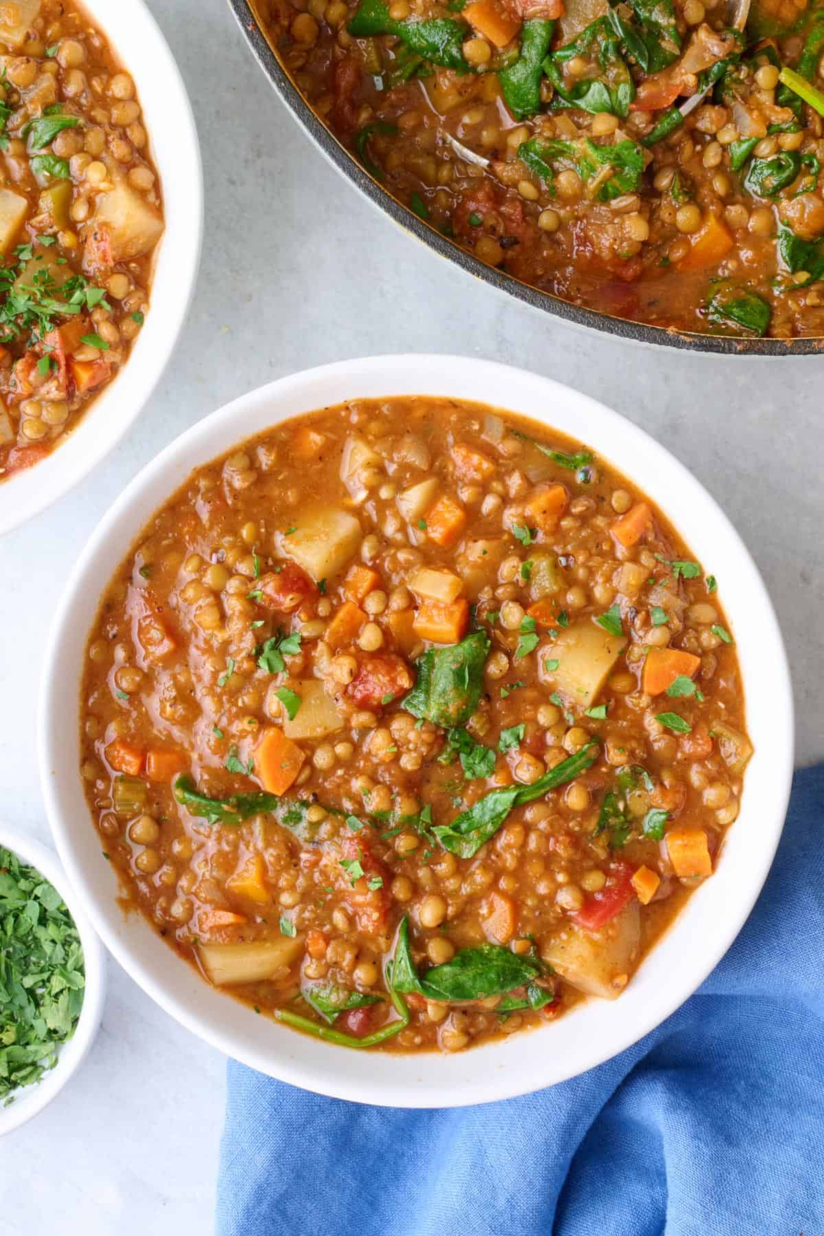 Vegetarian's Best-Kept Secret: Mushroom & Lentil Stew