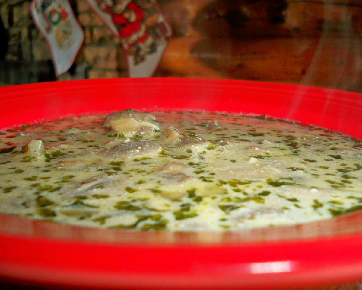 Velvet-Soaked Mushroom Soup