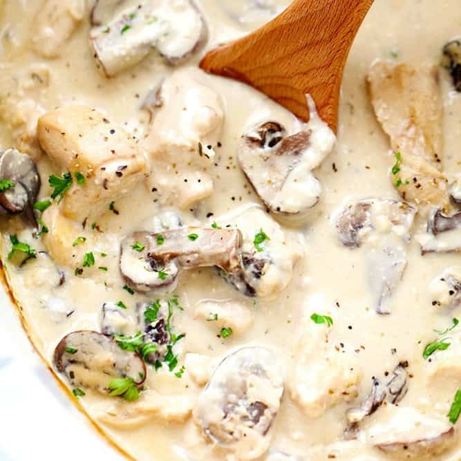 Slow Cooker Creamy Chicken & Mushroom Stroganoff
