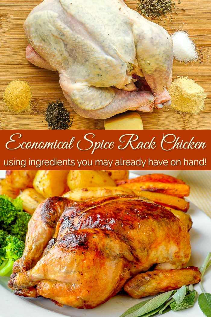 Collectible Spice Rack Chicken