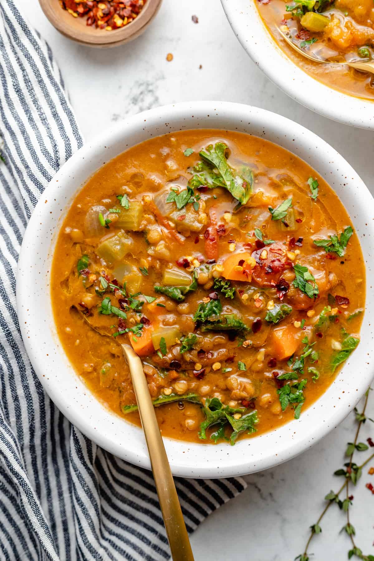 Solemn Lentil Soup