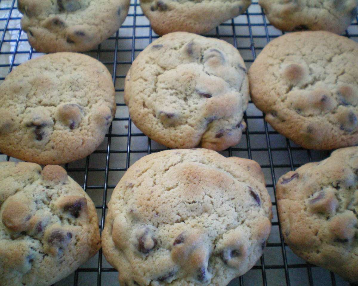 Chewy Classic Chocolate Chip Cookies