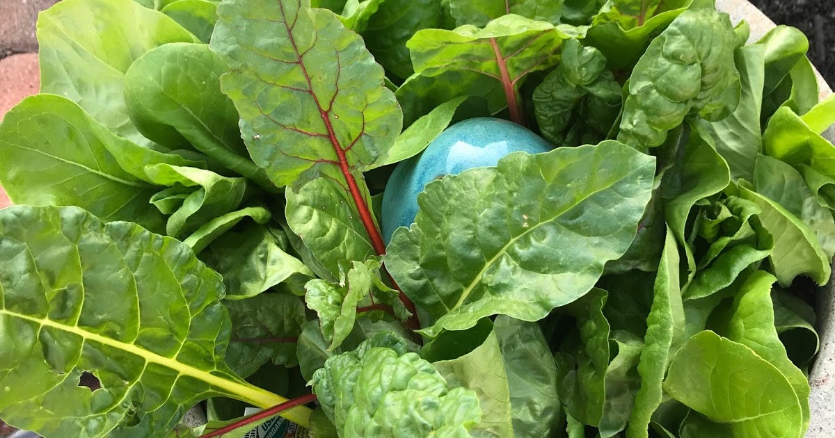 City Floral Perennial Herb Garden Salad with Lemon Vinaigrette