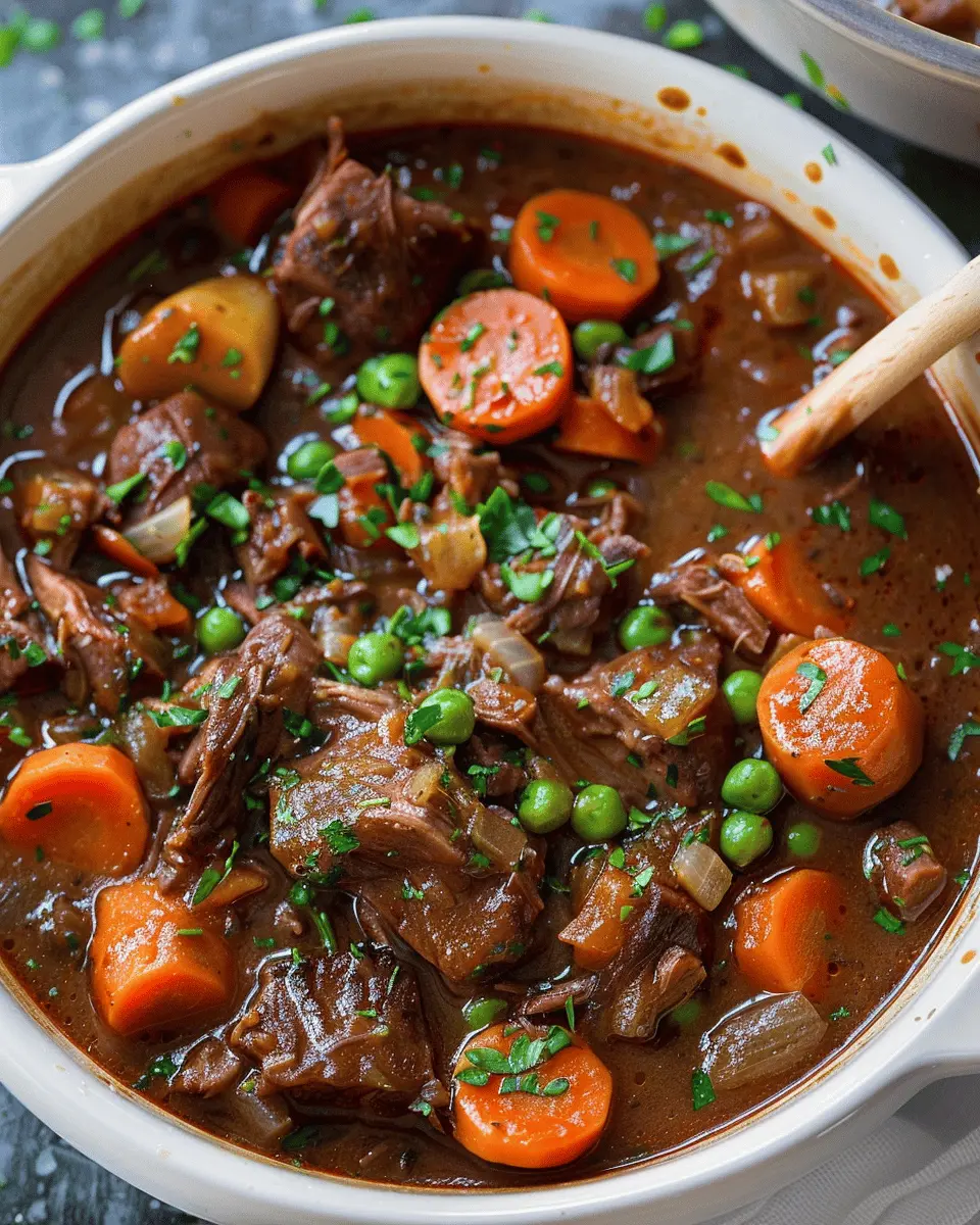 Household Kitchen Slow Cooker Beef Stew