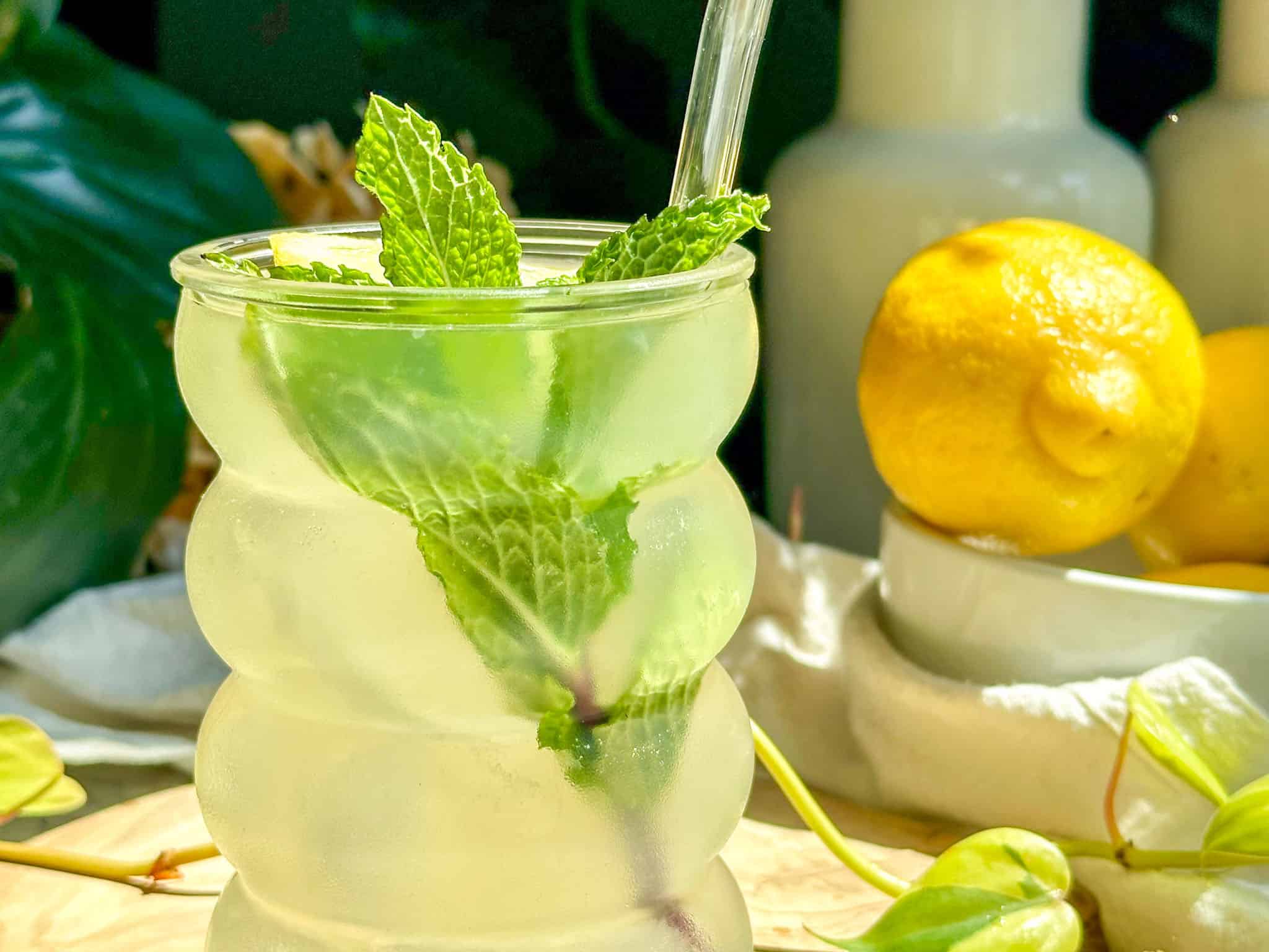 Herb-Infused Mint and Rosemary Lemonade
