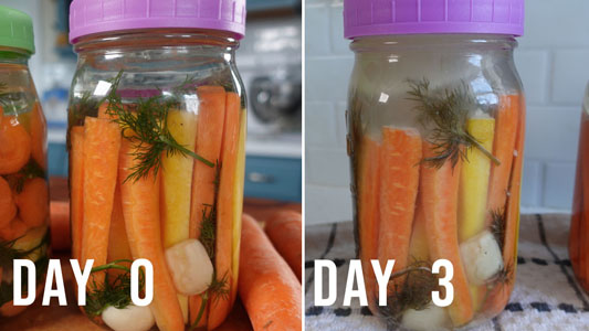 Authentically Fermented Miso-Brined Carrots with Rice Vinegar