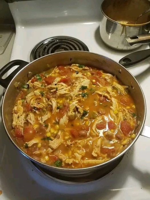 One-Pot Chicken & Vegetable Stew
