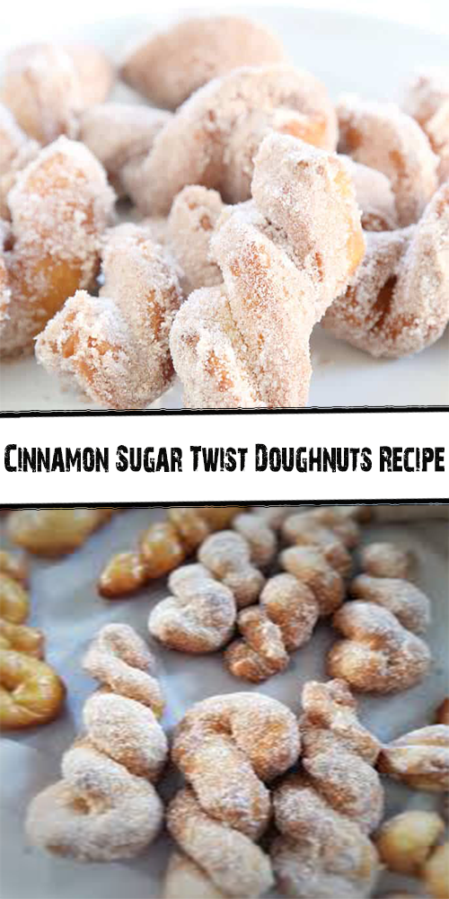 Cinnamon Sugar Twisted Doughnuts (Baked)