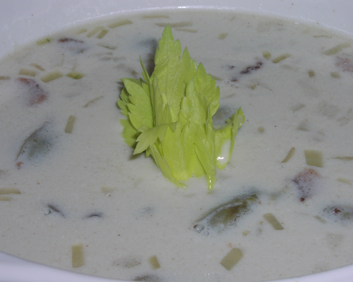Zinc-Rich Oyster & Coconut Stew