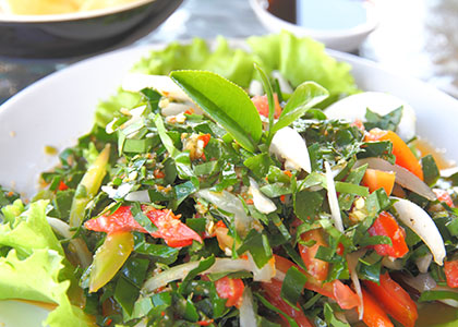 Reset Reboot Salad
