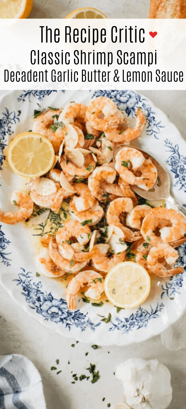 Scam Alert Shrimp Scampi