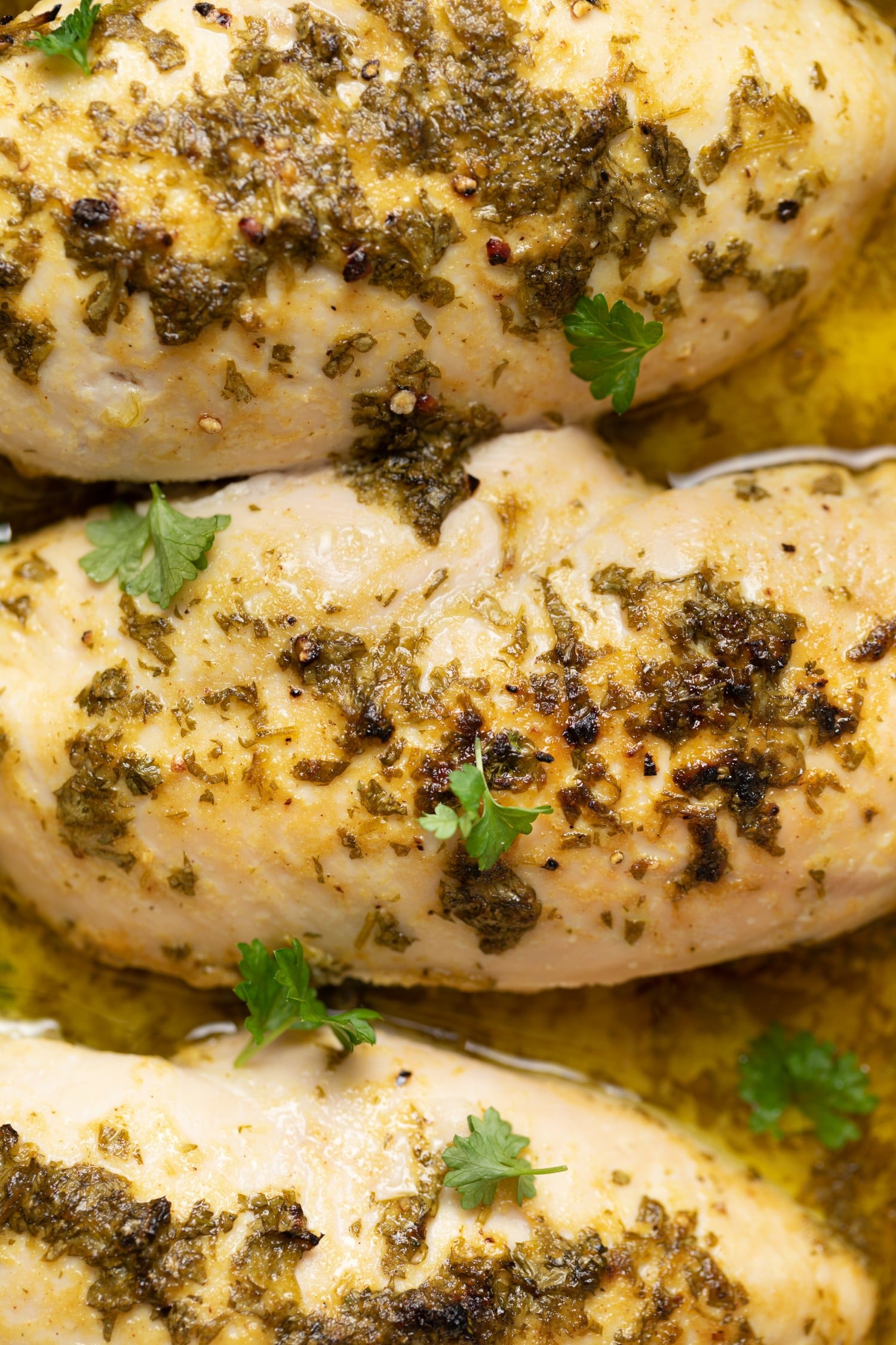 Nursing License Renewal Lemon Herb Chicken