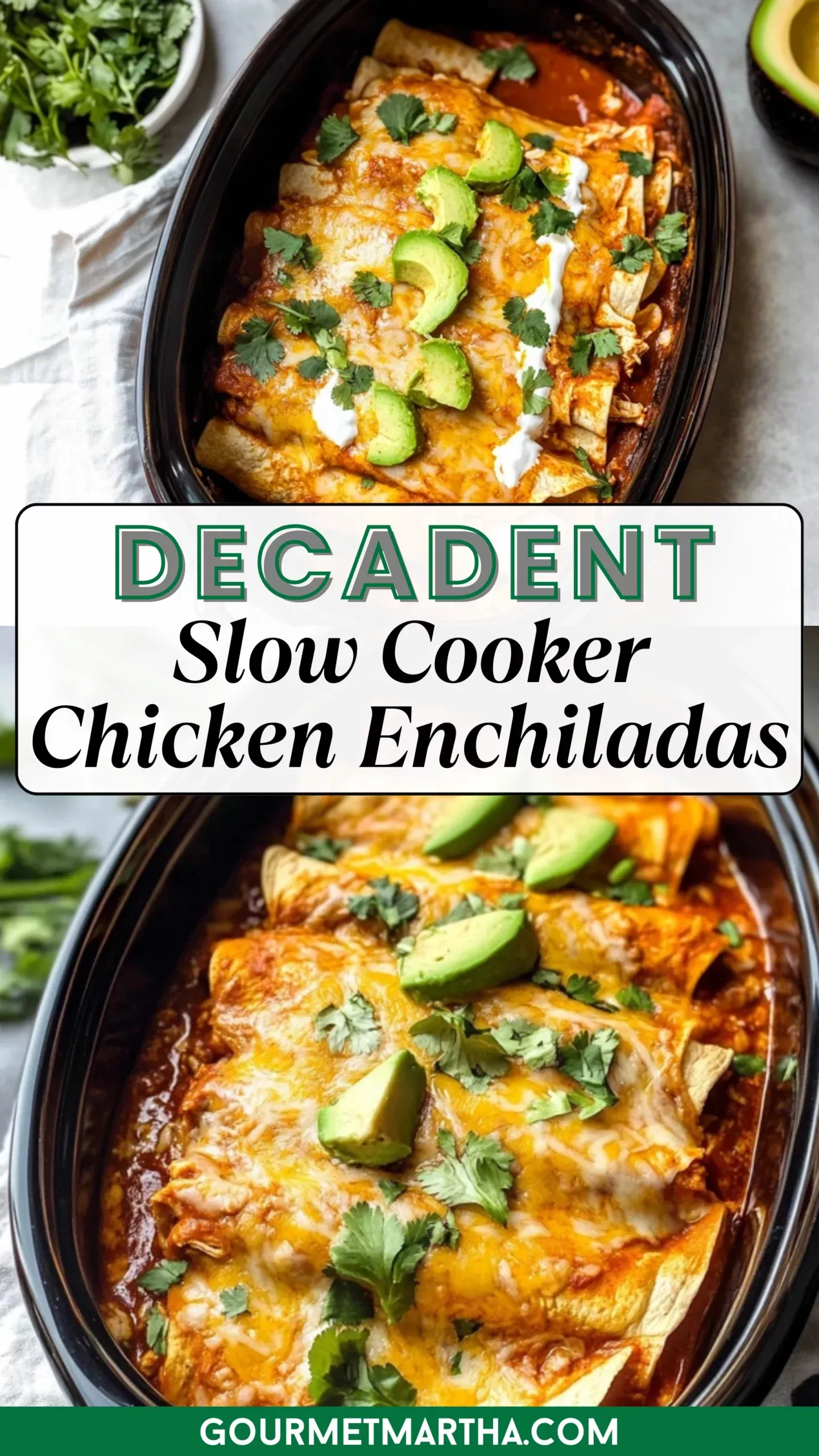 Census-Inspired Slow-Cooker Chicken Enchiladas