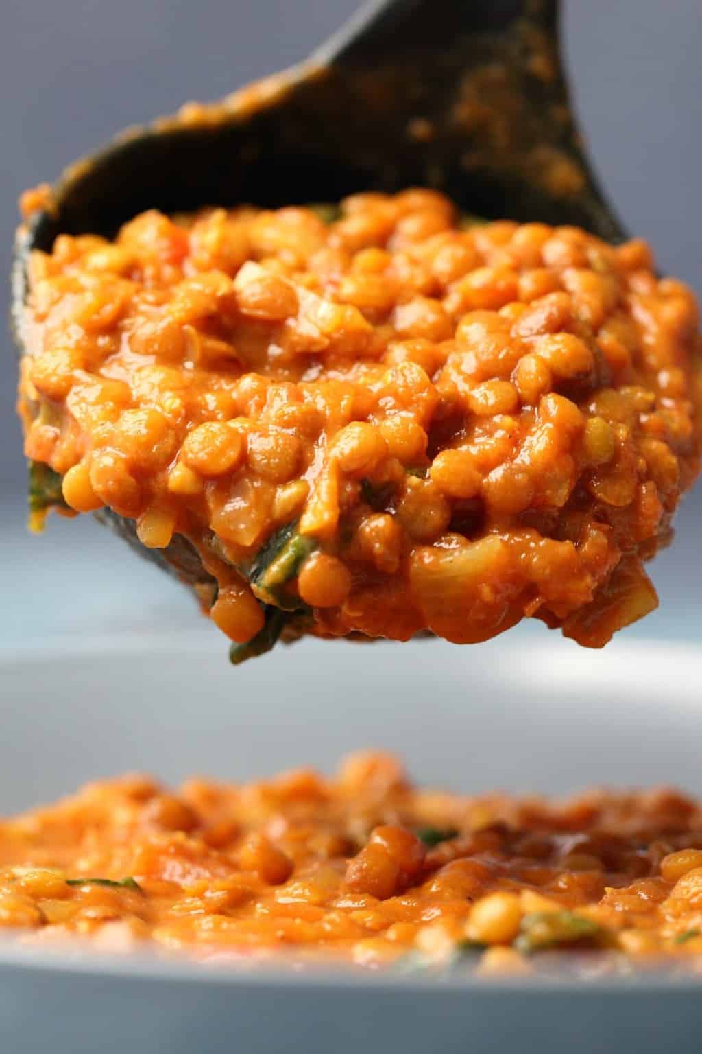 Best-Kept Secret Vegan Lentil Curry