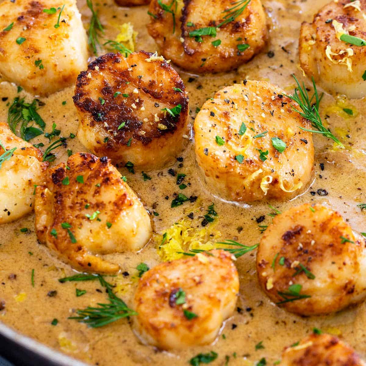 Best Seafood Platter: Pan-Seared Scallops & Lemon-Dill Shrimp
