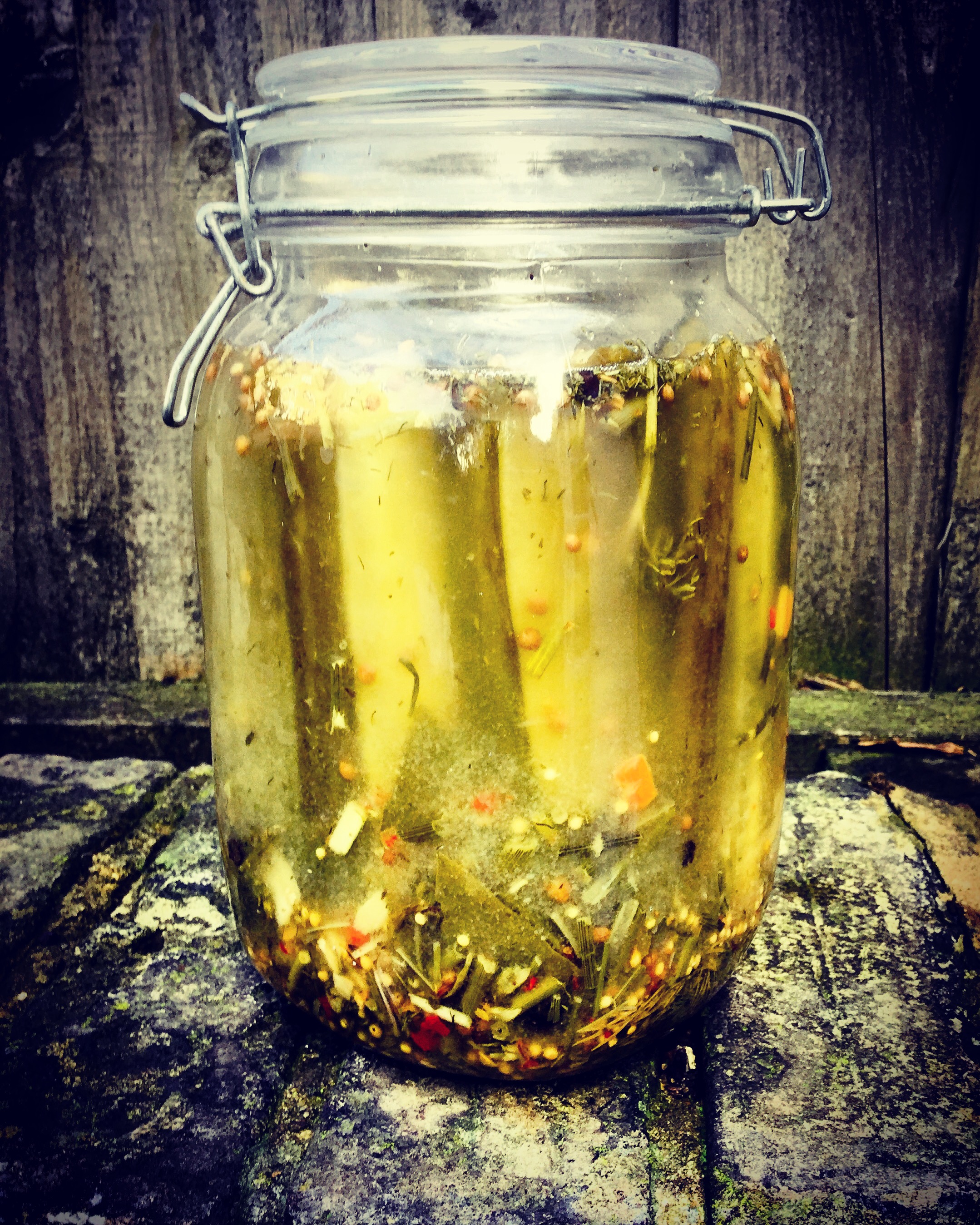 Fermented Ginger-Cucumber Salad
