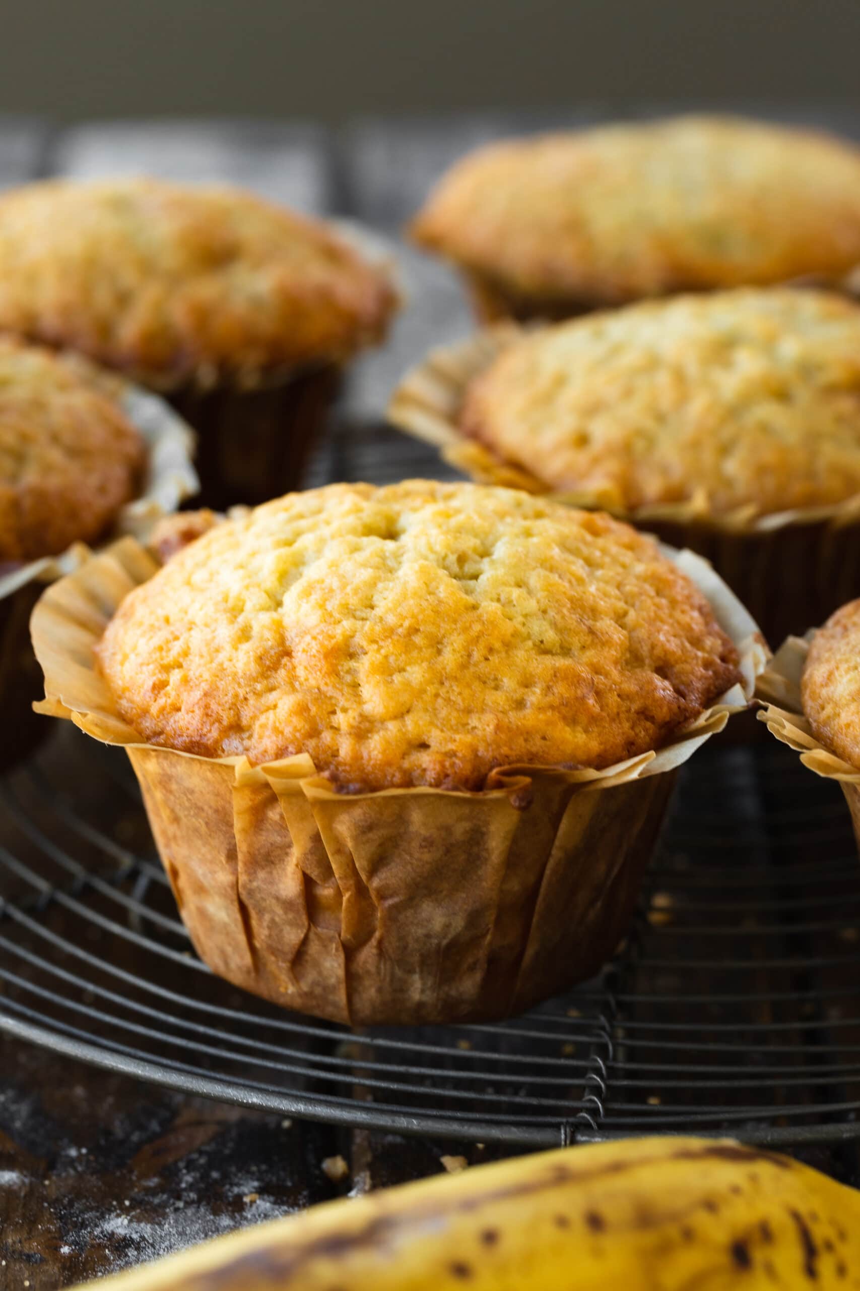 Puppy-Style Banana Muffins