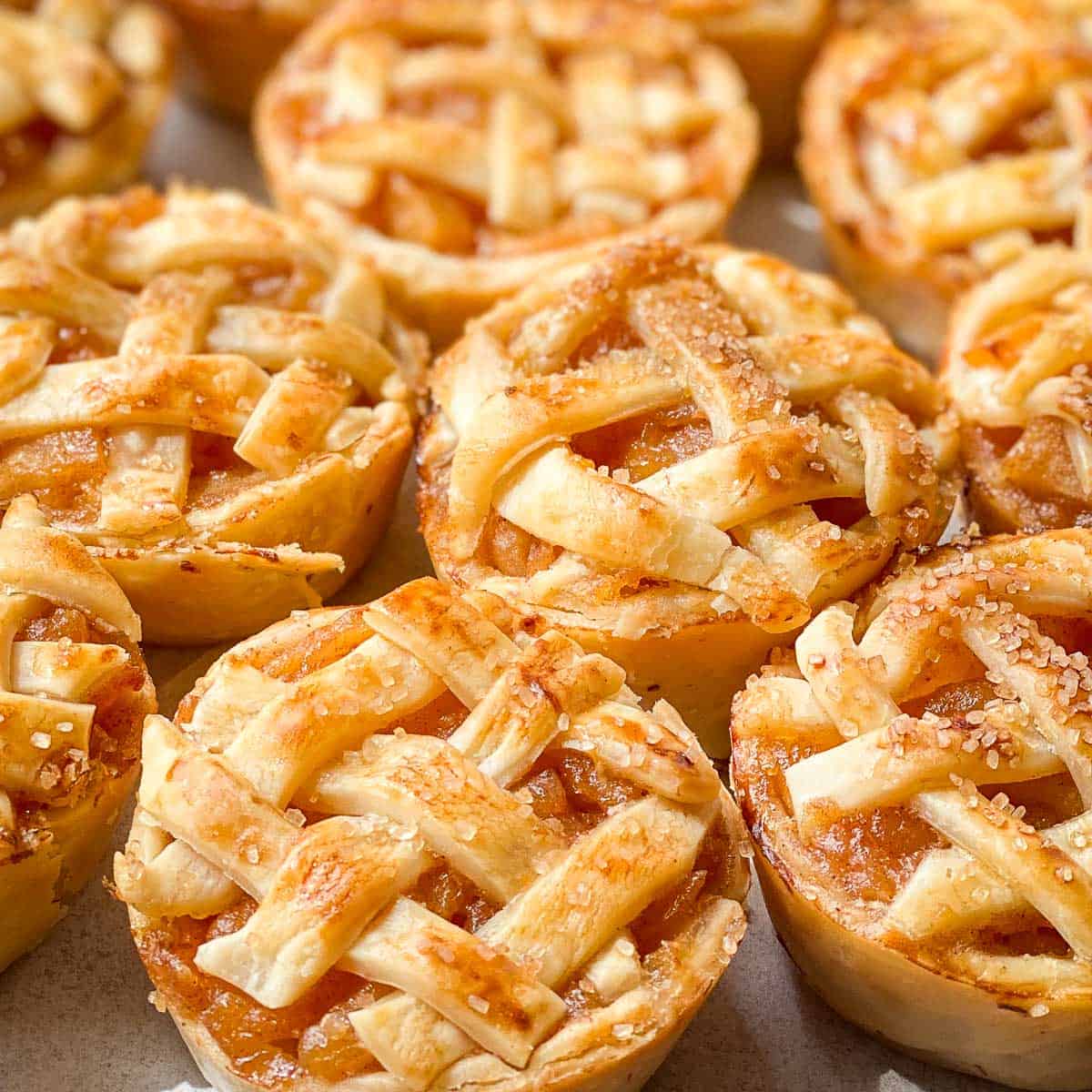 Pastelitos de Pollo: Mini Chicken Pastel Pies