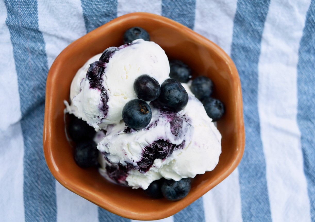 Ice Palace Mousse with Butterfly Blueberry Swirl