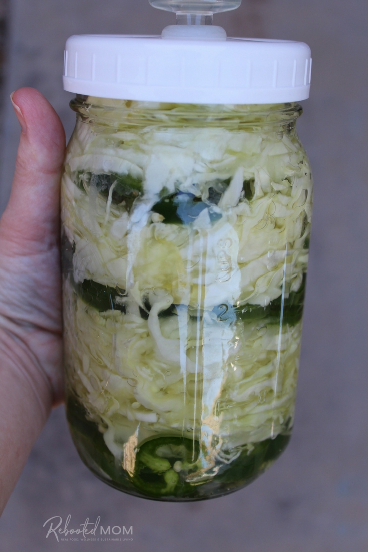 Fermented Ginger-Infused Cabbage & Daikon Slaw
