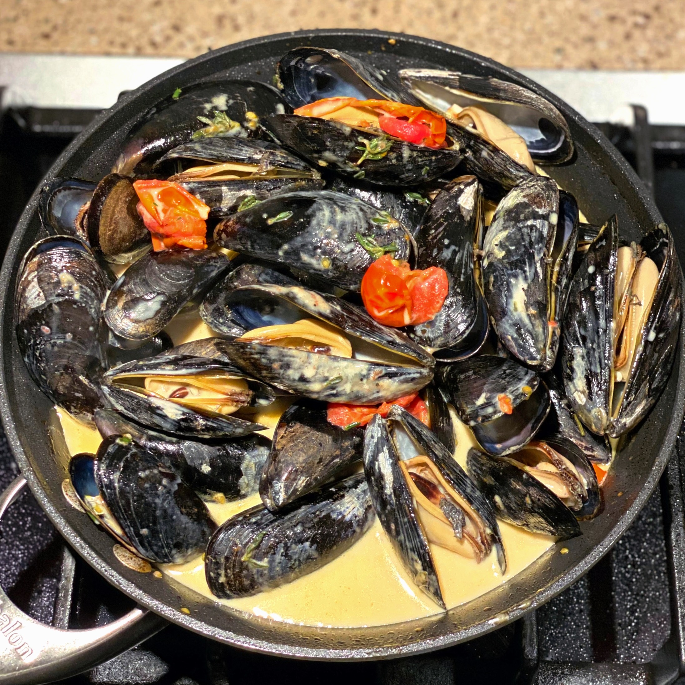 Brussels-Style Mussels in White Wine Sauce