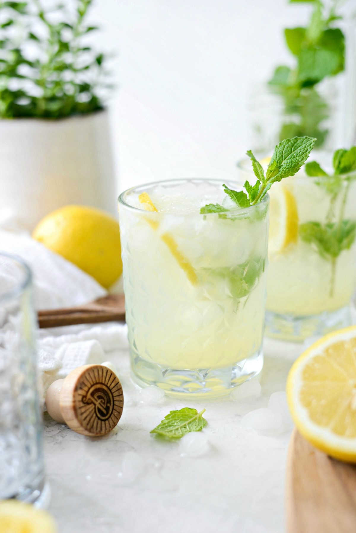 Shaken Gin Fizz with Lemon and Mint