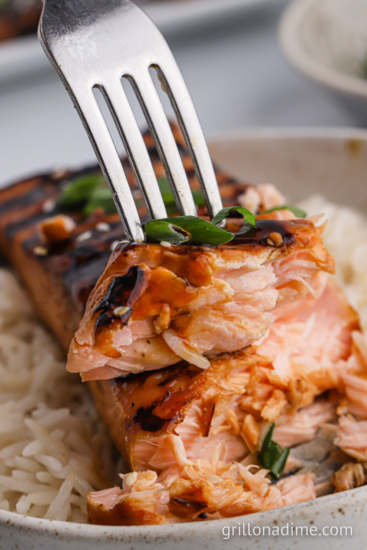 Grilled Teriyaki Salmon with Ginger and Scallions