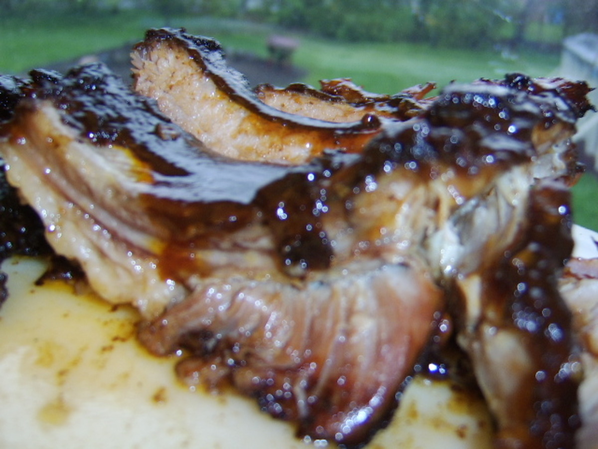 Best of the West BBQ Ribs