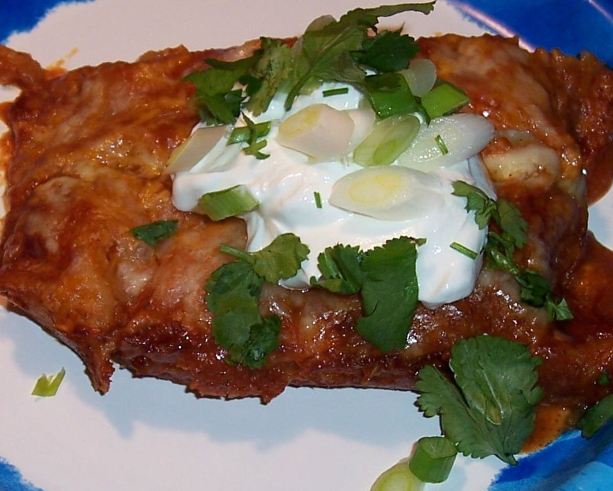 Best-Braised Chicken Enchiladas
