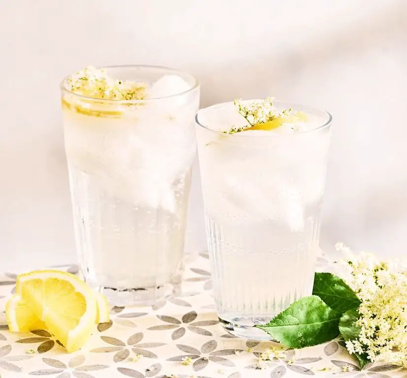 Citrus Elderflower Collins