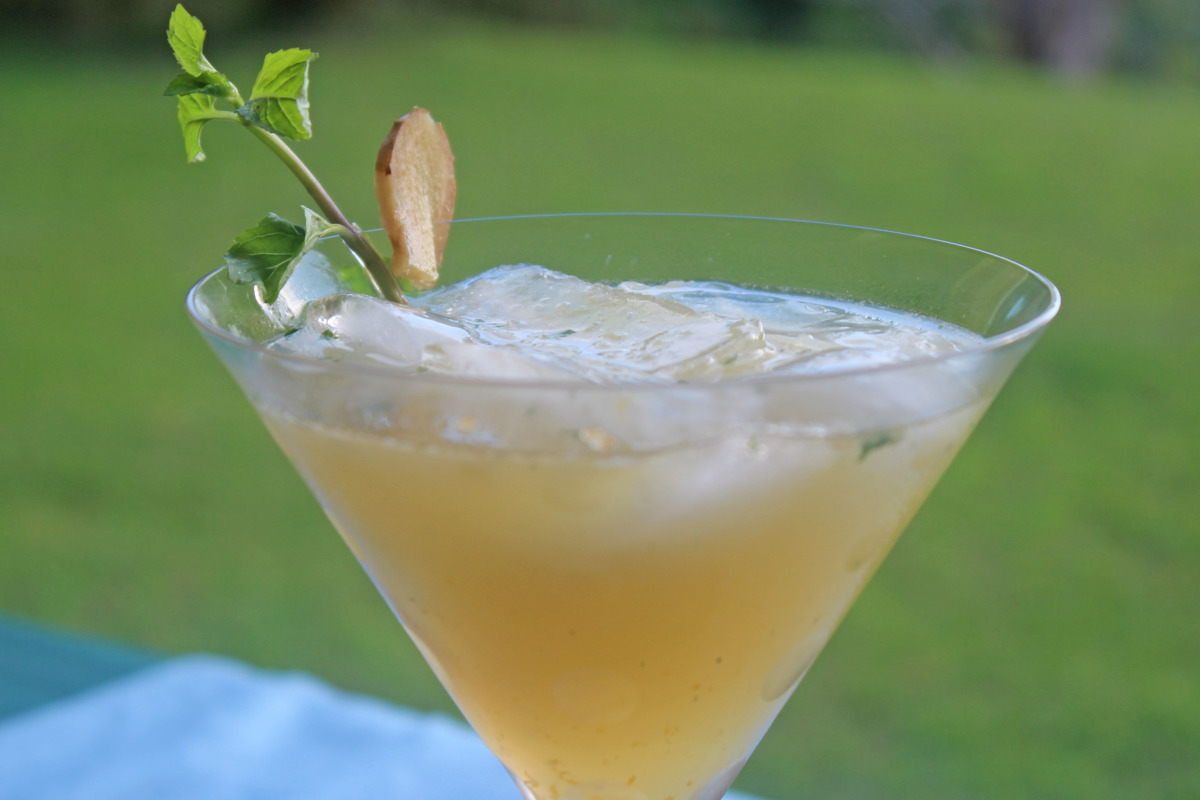 Yuzu Ginger Scotch Highball