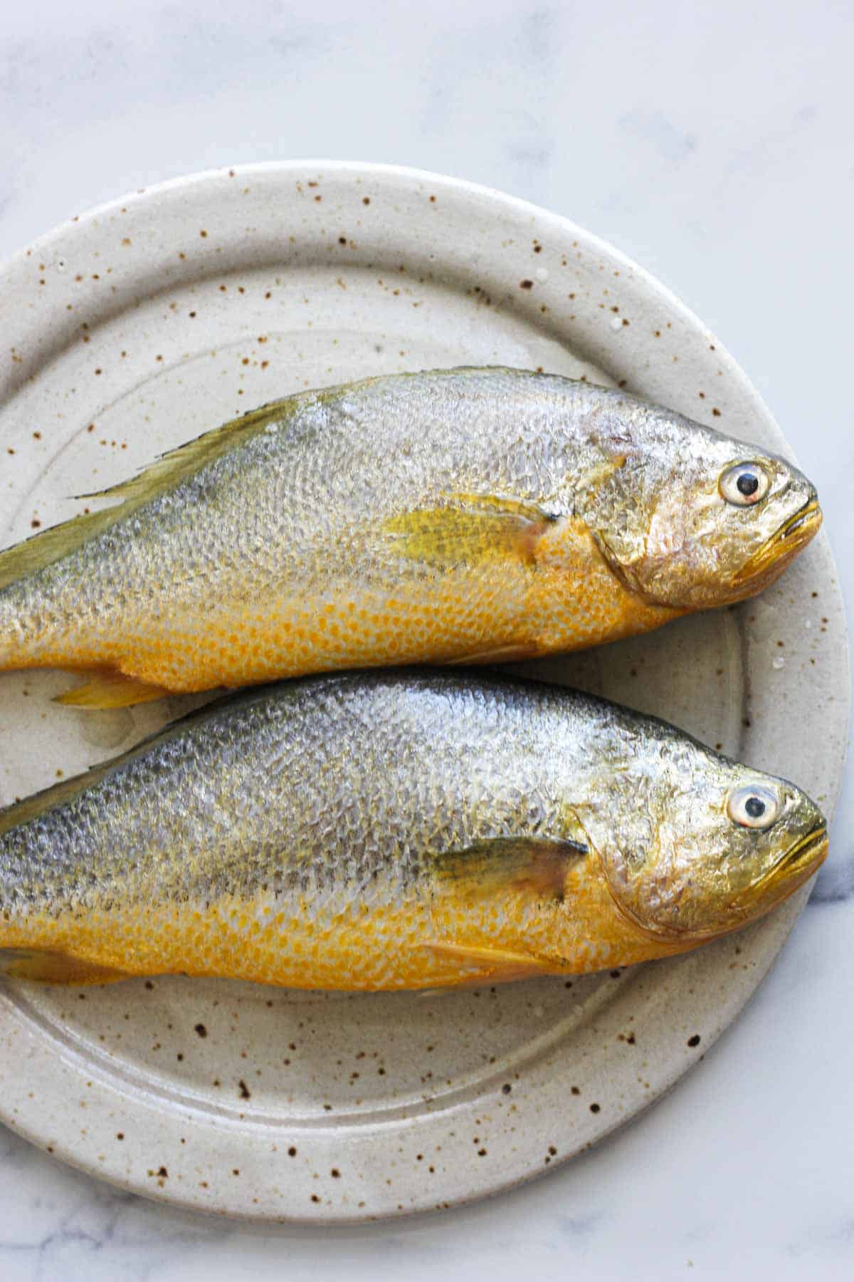 Yellow Croaker with Ginger and Scallions