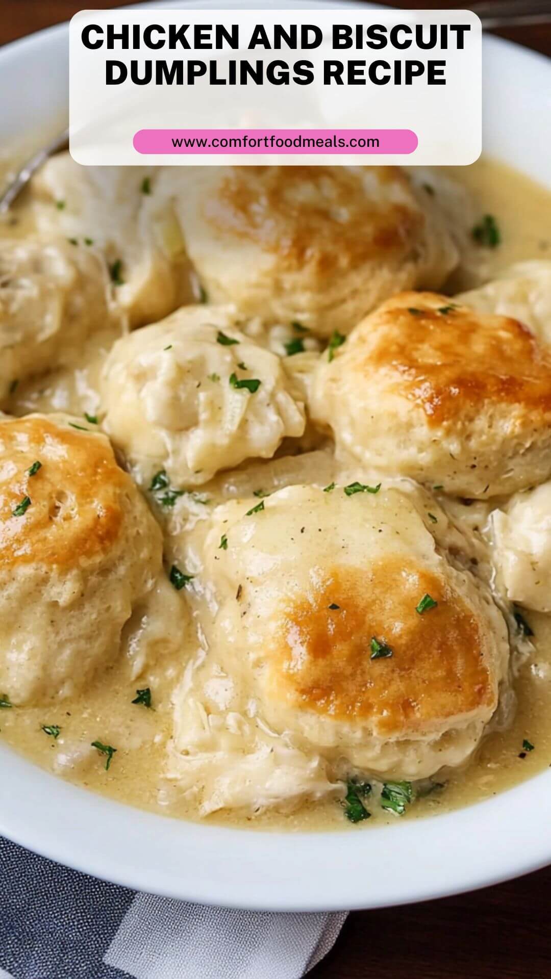 Slow-Cooked Chicken and Dumplings with Flaky Biscuit Topping