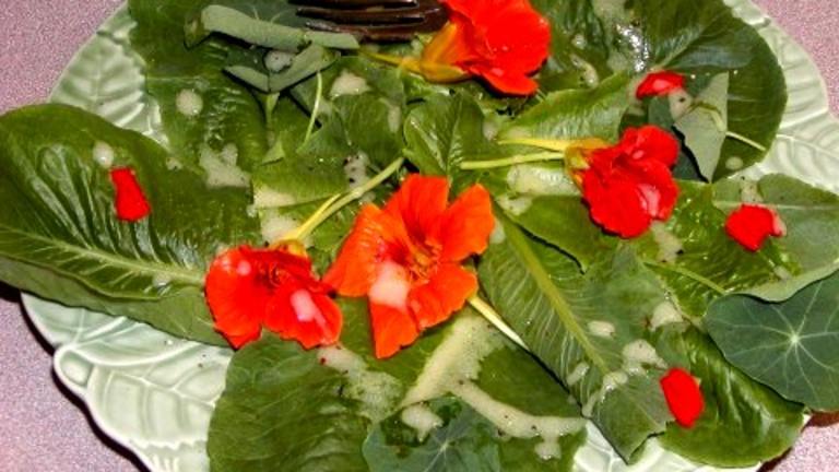 Hardy Amaryllis Flower Salad