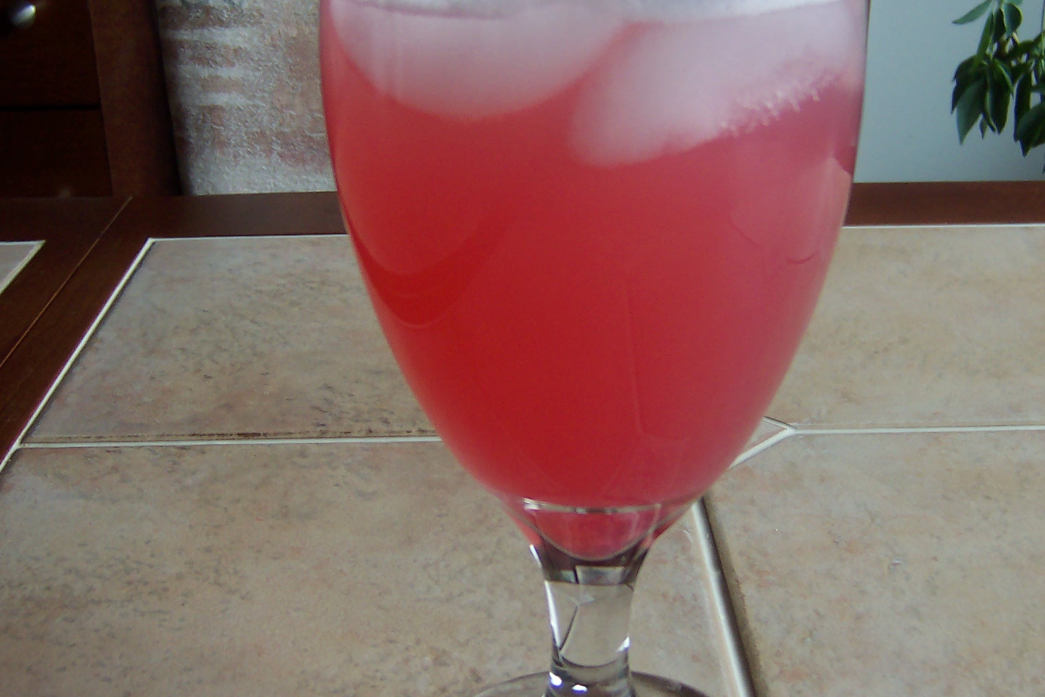 Rhubarb-Elderflower Spring Spritzer