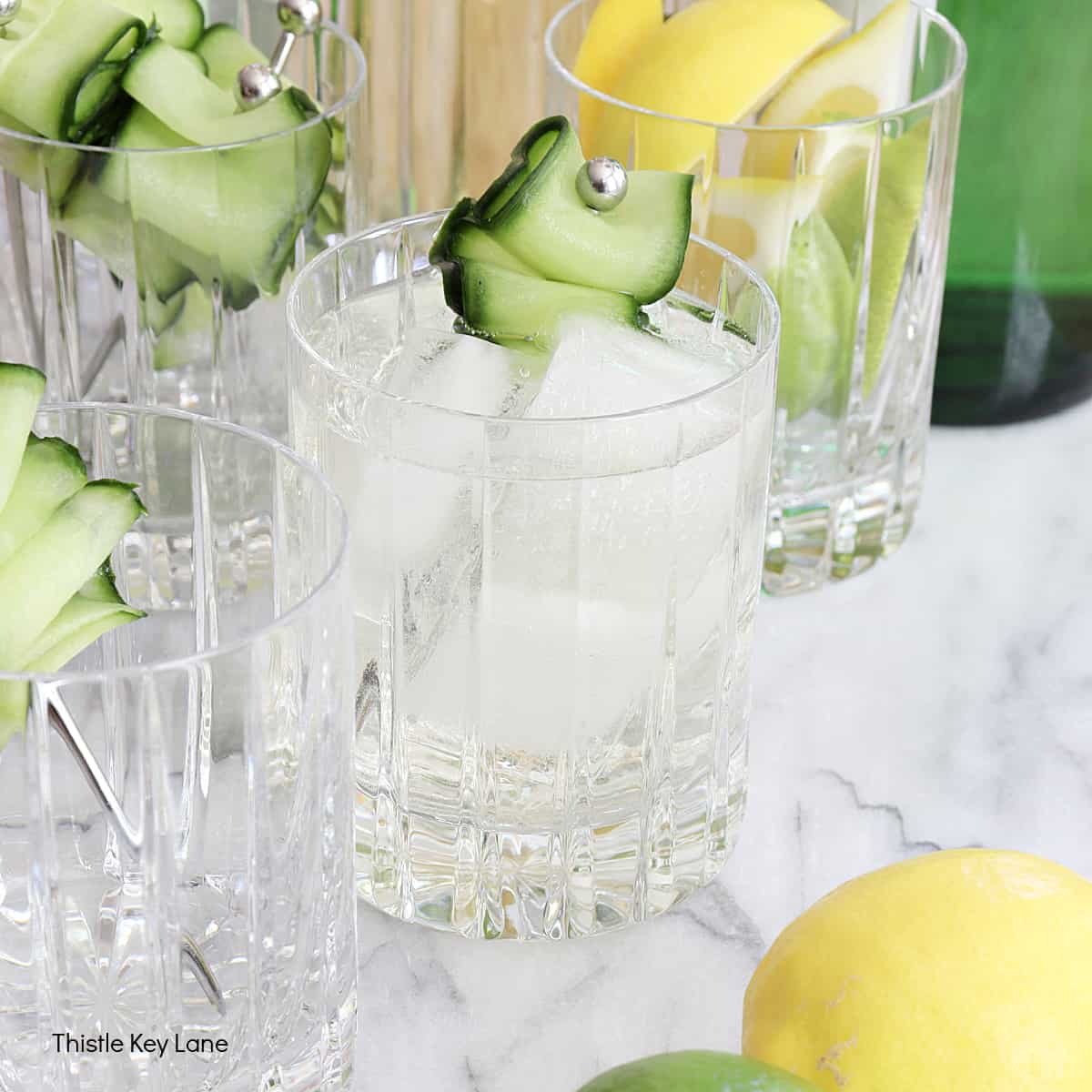 Elderflower Gin & Tonic