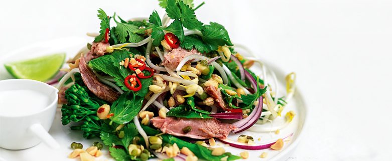 Shredded Duck with Hoisin Glaze and Cucumber Salad