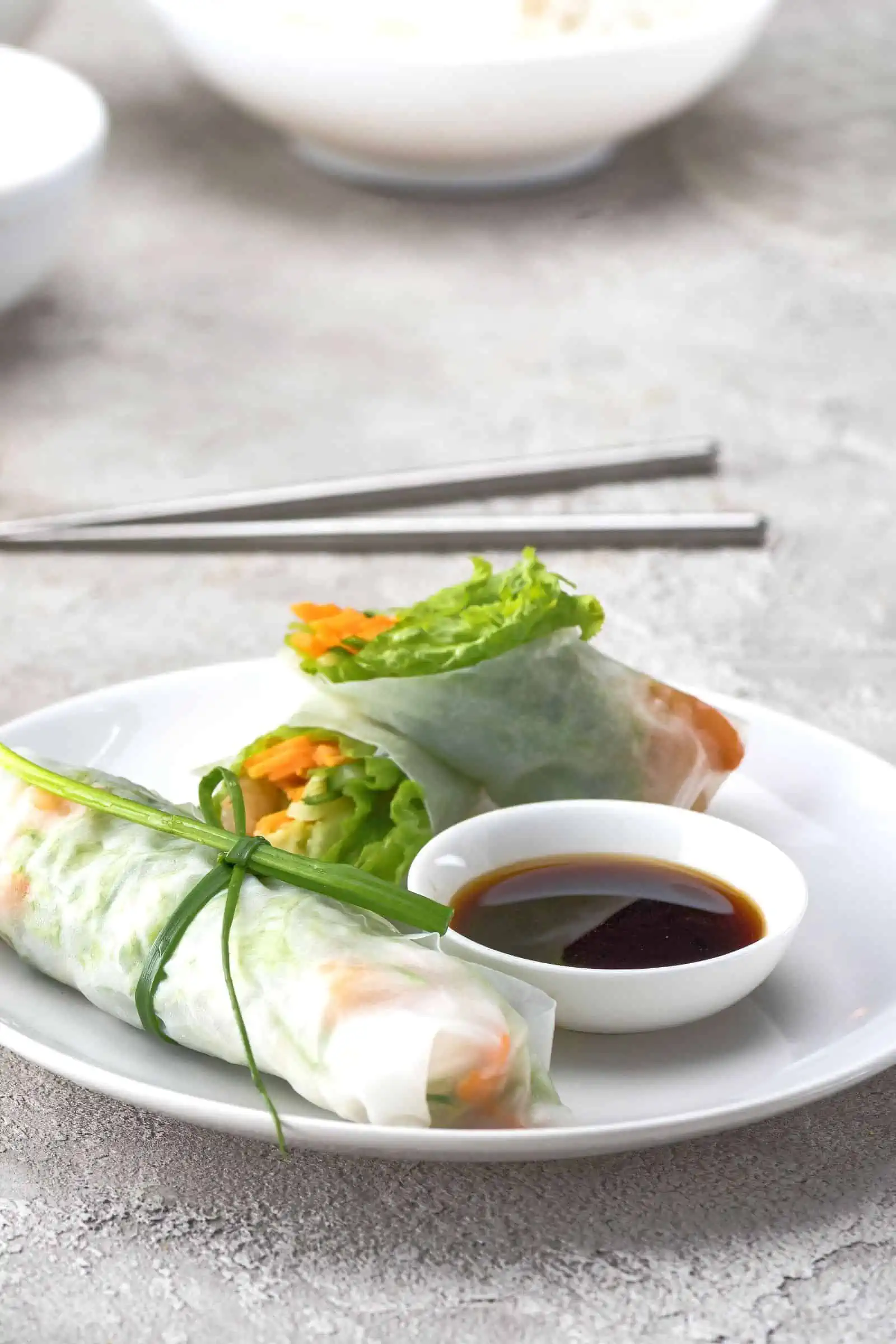 Directional Spring Rolls with Plum Sauce