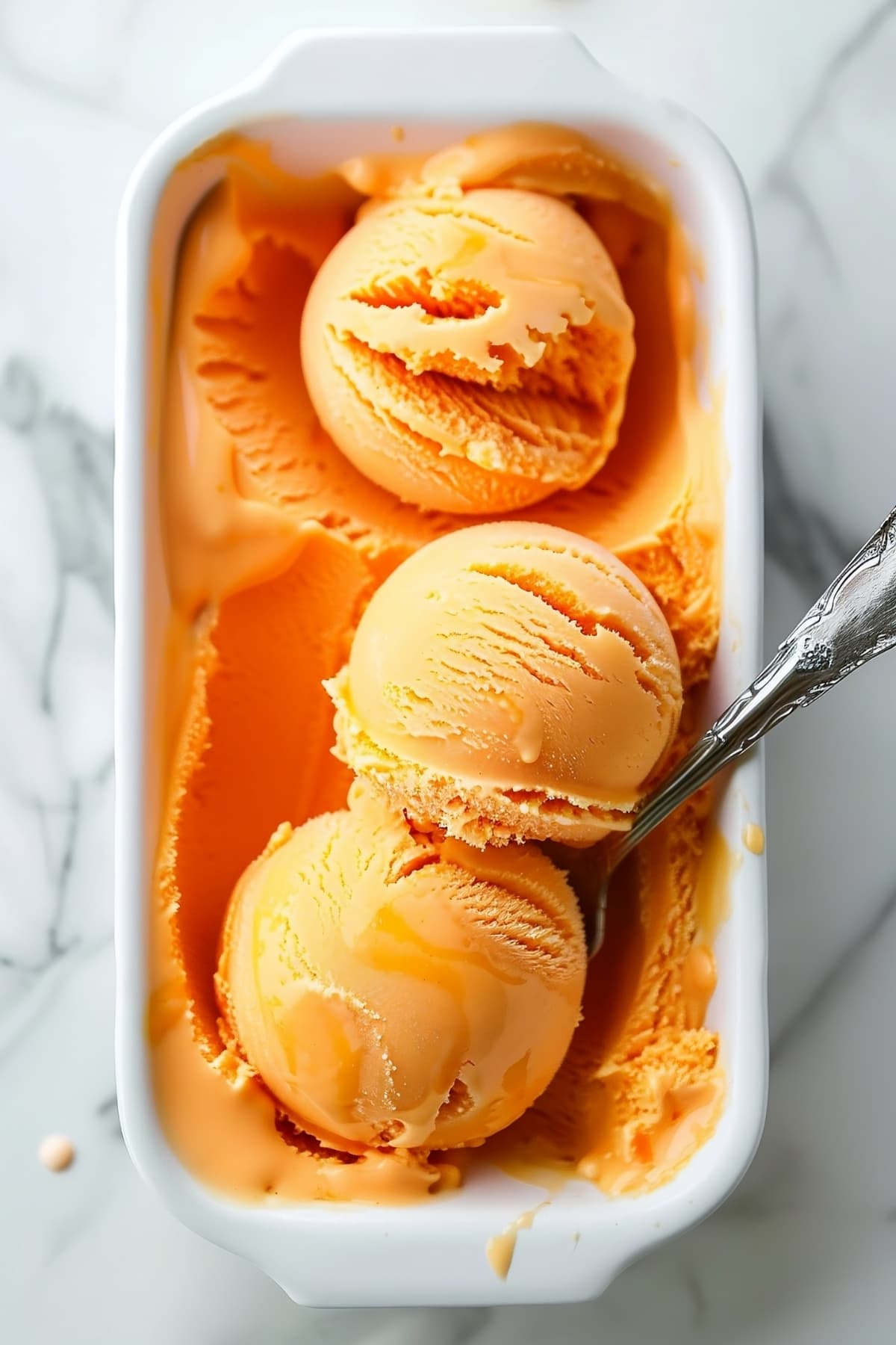 Orange Bittersweet Sorbet