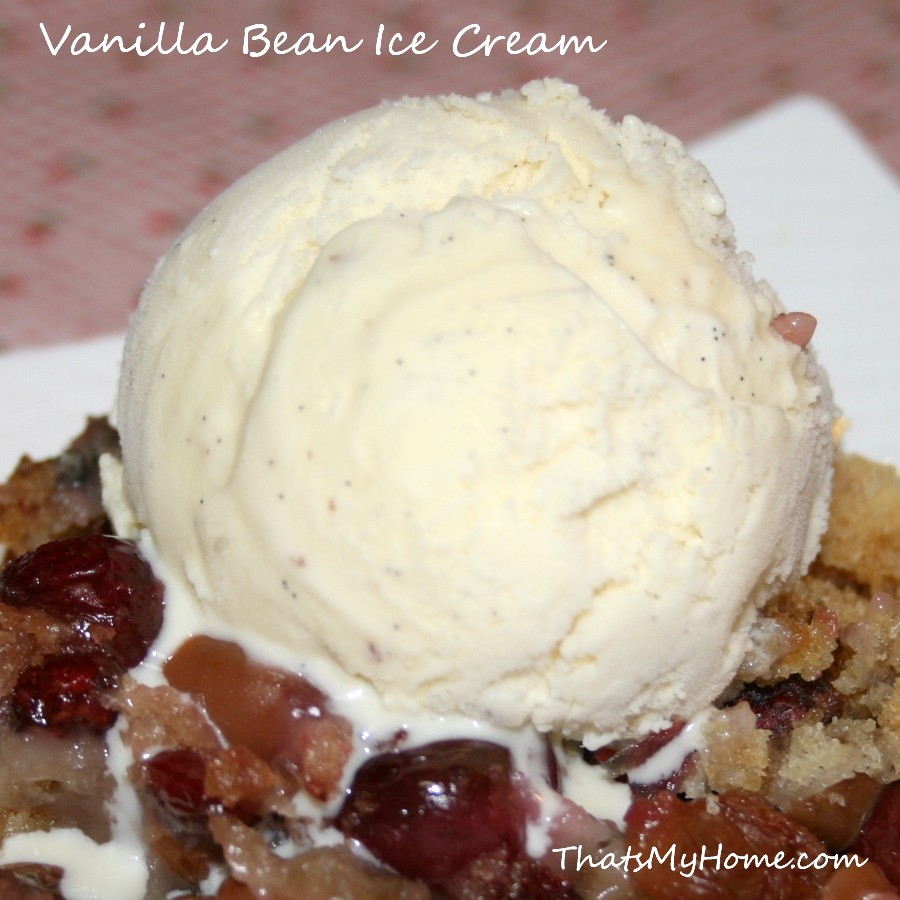 Vanilla Bean Churned Ice Cream with Berries