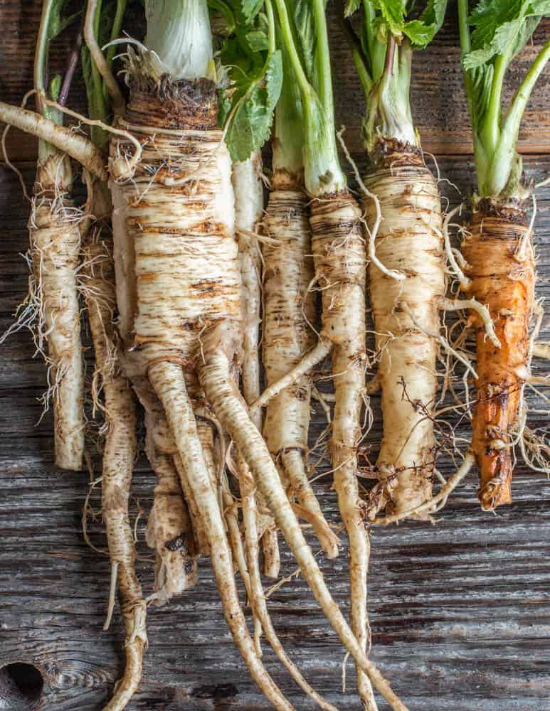 Parsnip and Leek Clear Broth with Herb Garnish