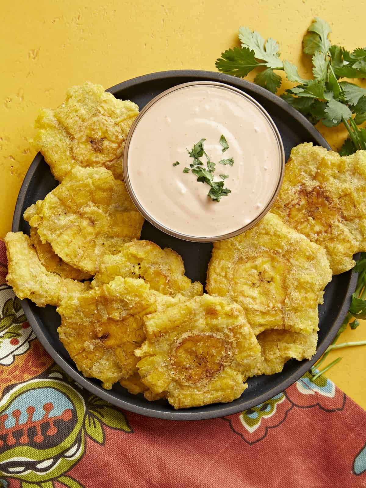 Pan-Fried Plantain Tostones with Citrus-Garlic Sauce