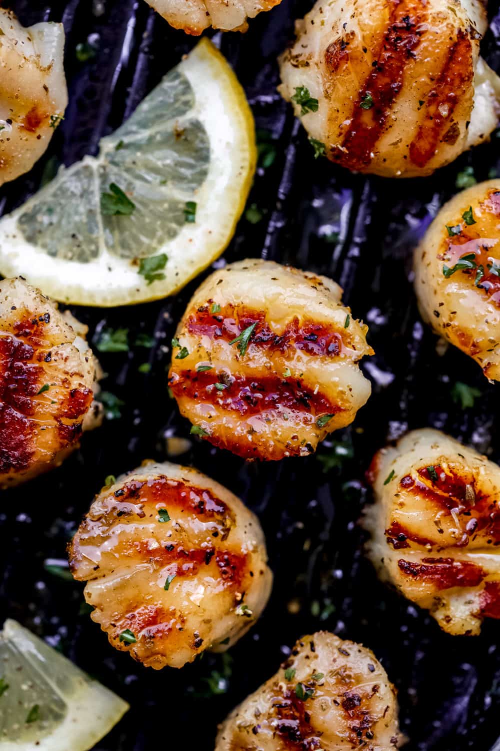 Pan-Seared Scallops with Garlic and Lemon Zest