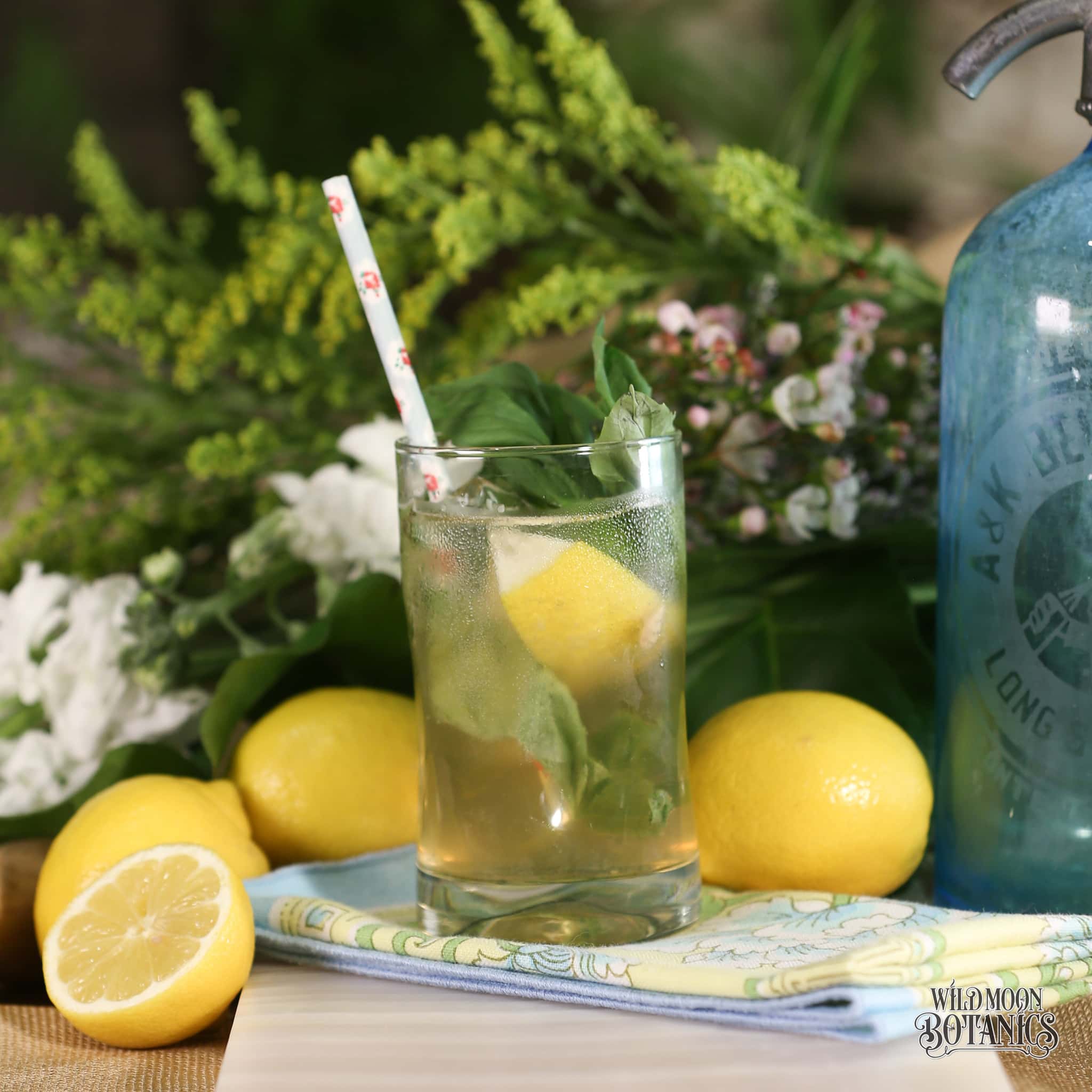 Sparkling Lemon-Basil Spritzer